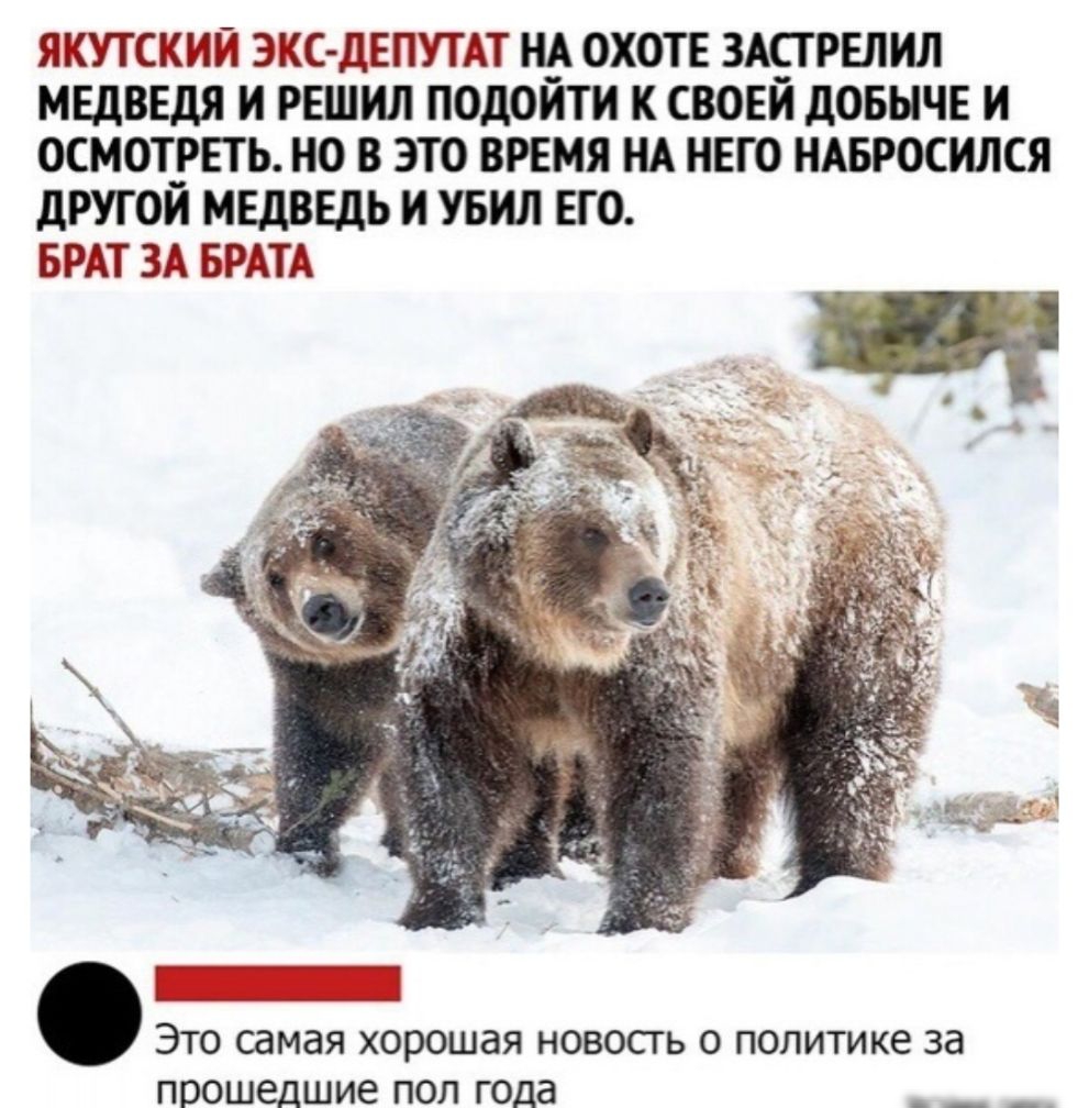ЯКУТСКИЙ ЭКСДЕПУТАТ НА ОХОТЕ ЗАПРЕЛИЛ МЕДВЕДЯ И РЕШИЛ ПОДОИТИ К СВОЕЙ ДОБЫЧЕ И ОСМОТРЕТЬ НО В ЭТО ВРЕМЯ НА НЕГО НАБРОСИЛСЯ ДРУГОЙ МЕДВЕДЬ И УБИЛ ЕГО БРАТ ЗА БРАТА Это самая хорошая новость о политике за прошедшие пол года _ __