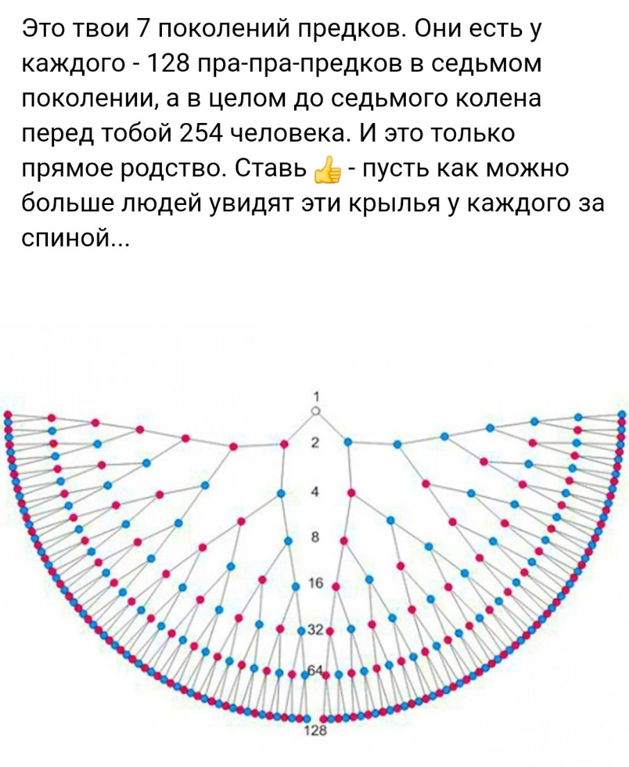 Это твои 7 поколений предков Они есть у каждого 128 пра пра предков в седьмом поколении а в целом до седьмого колена перед тобой 254 человека И это только прямое родство Ставь пусть как можно больше людей увидят эти крылья у каждого за спиной 28