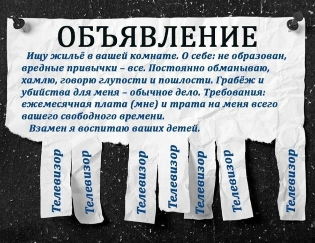 ОБЪЯВЛЕНИЕ Ищу эісильё в вашей комнате себе не образован вредные привычки все Постоянно обманываю хамлю говорю глупости и пошлости Грабеэіс и убийства для меня обычное дело Требования езжсемесячная плата мне и трата на меня всего вашего свободного времени Взамен я воспитаю ваших детей __ Телевизор тълевизор Телевизор Телевизор елевизор Т