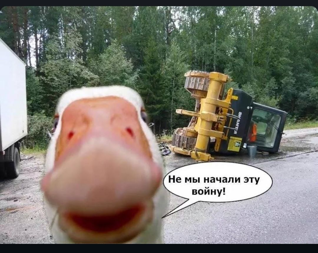 Не мы начали эту войну