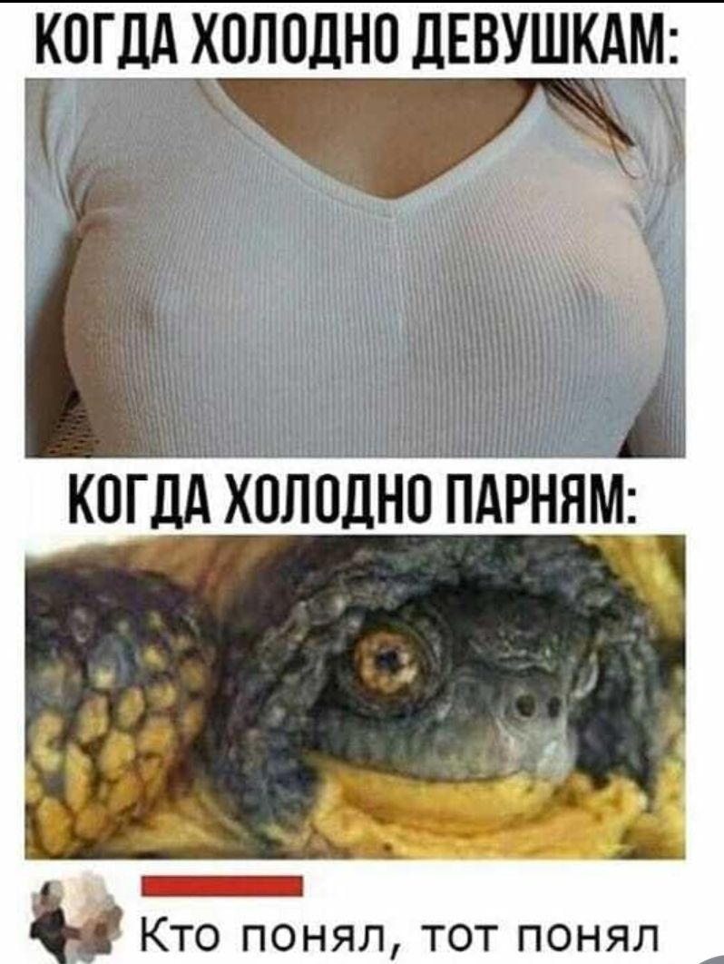 КОГДА Х0Л0ДН0 ЦЕВУШКАМ Кто понял тот понял