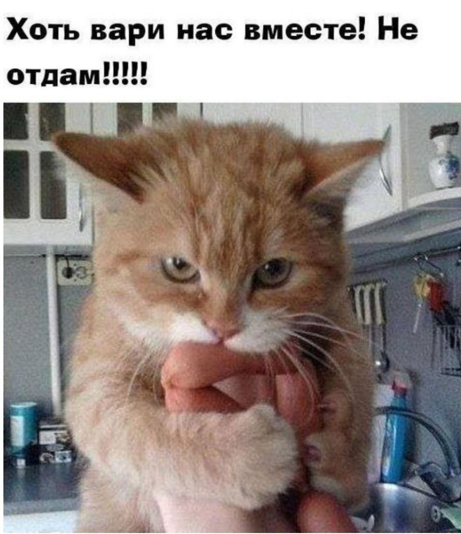Хоть вари нас вместе Не отдам