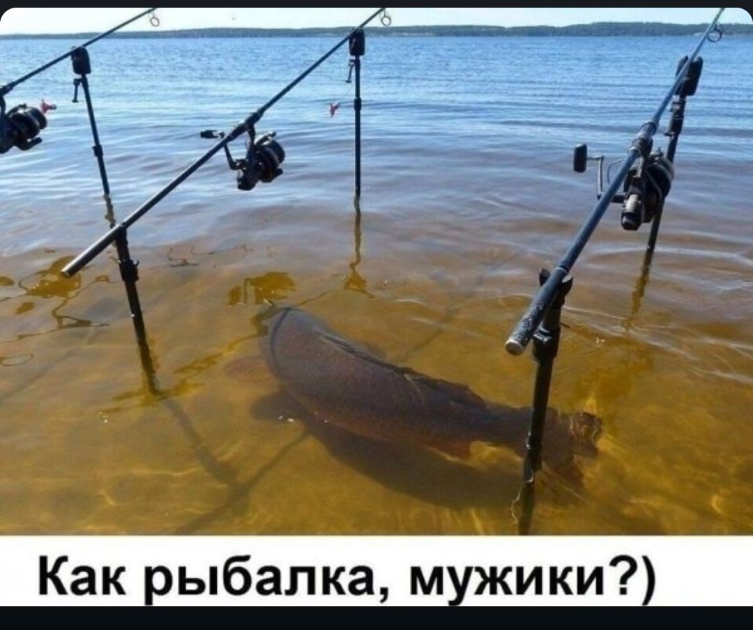 __ Как рыбалка мужики _