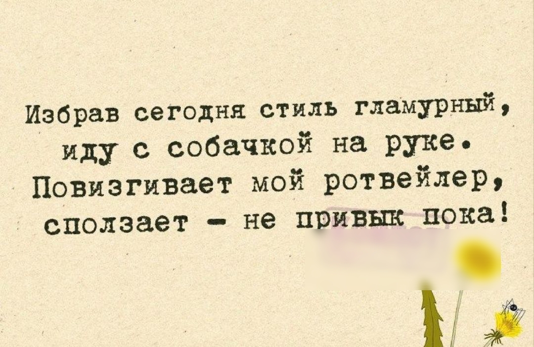 Избрав сегодня стиль гламурным иду с собачкой на руке Повизгивает мой ротвейлер сползает не привык пока Ъ
