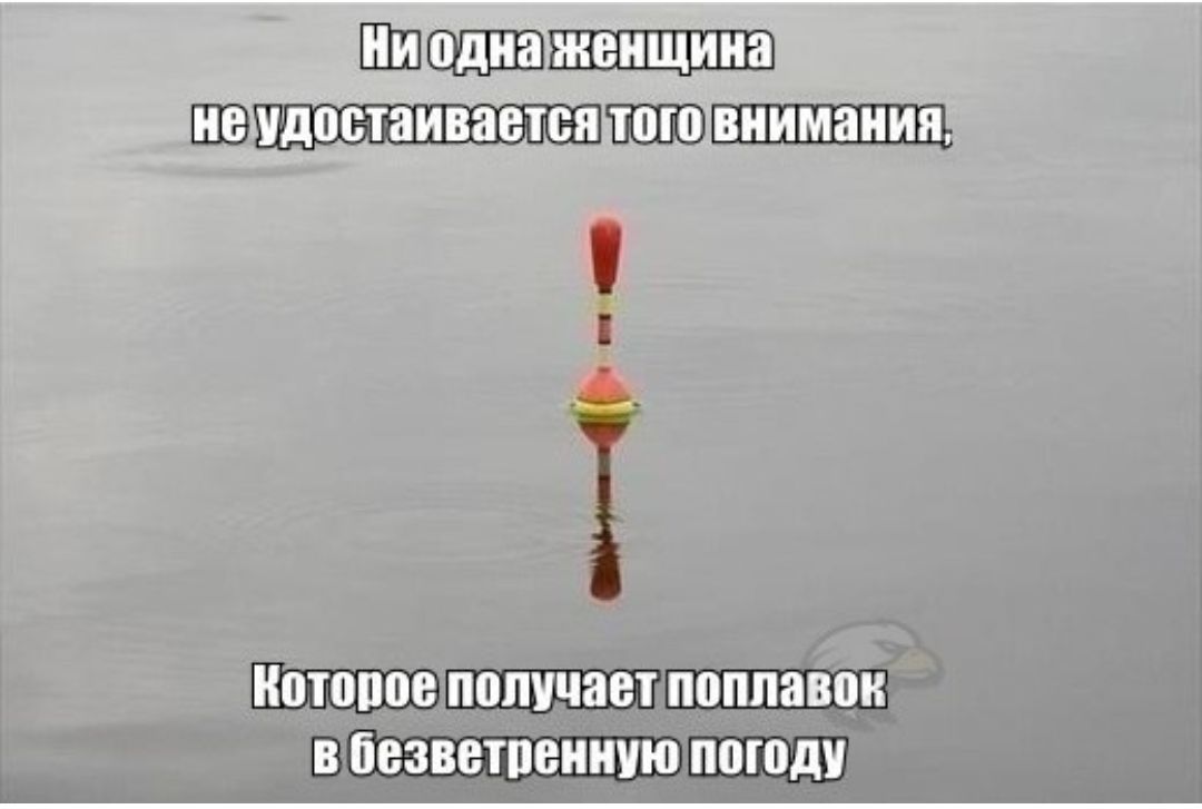 ШШШЩШШШЦШШ апатии ВЦШЩШ
