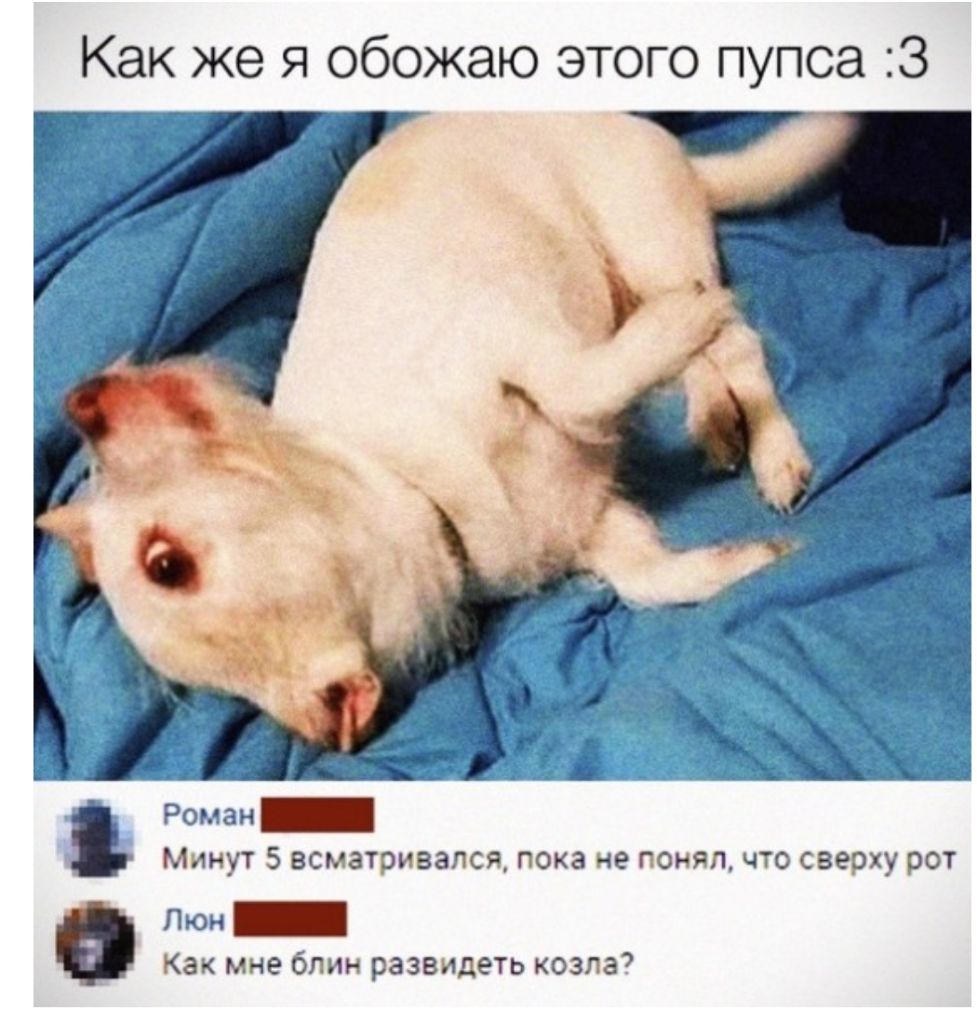 Как же я обожаю этого пупоа З Роман_ Млнут 5 всматэивапся пока не гонял что сзеоху рот Люн Как мне блин развлдеть озла7