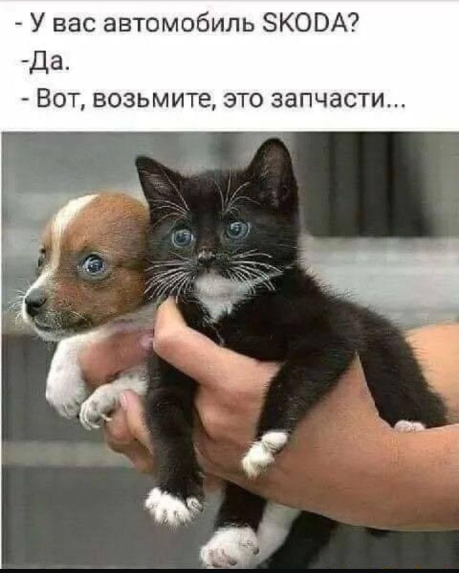 У вас автомобиль ЗКОВА Да Вот возьмите это запчасти