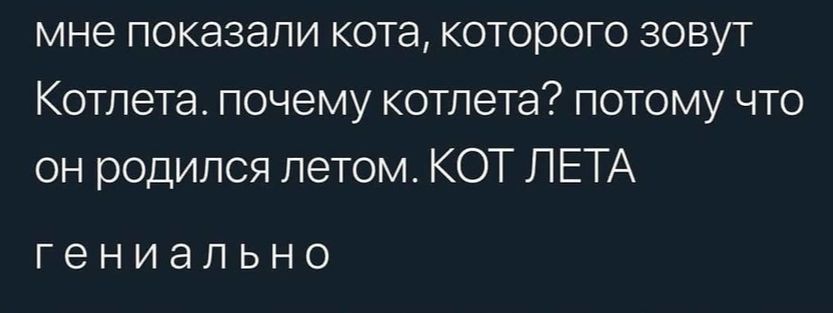 мне показали кота которого зовут Котлета почему котлета потому что он родился летом КОТ ЛЕТА гениально