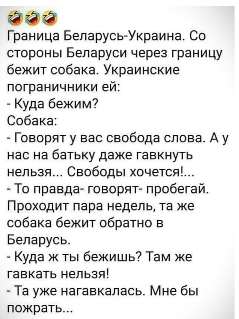 66 Граница Беларусь Украина Со стороны Беларуси через границу бежит собака Украинские пограничники ей Куда бежим Собака Говорят у вас свобода слова А у нас на батьку даже гавкнуть нельзя Свободы хочется То правда говорят пробегай Проходит пара недель та же собака бежит обратно в Беларусь Куда ж ты бежишь Там же гавкать нельзя Та уже нагавкалась Мне бы пожрать