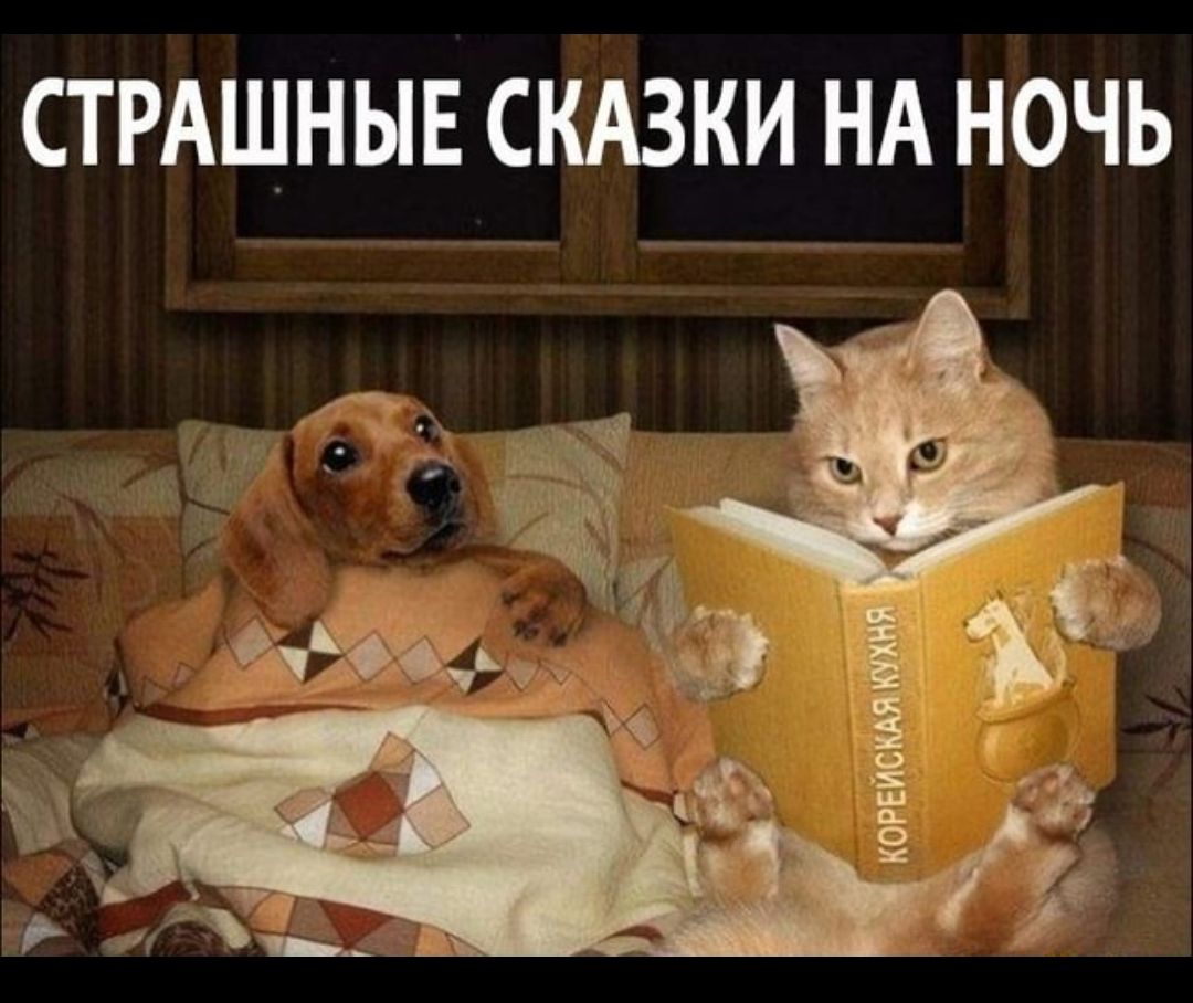СТРАШНЫЕ СКАЗКИ НА НОЧЬ