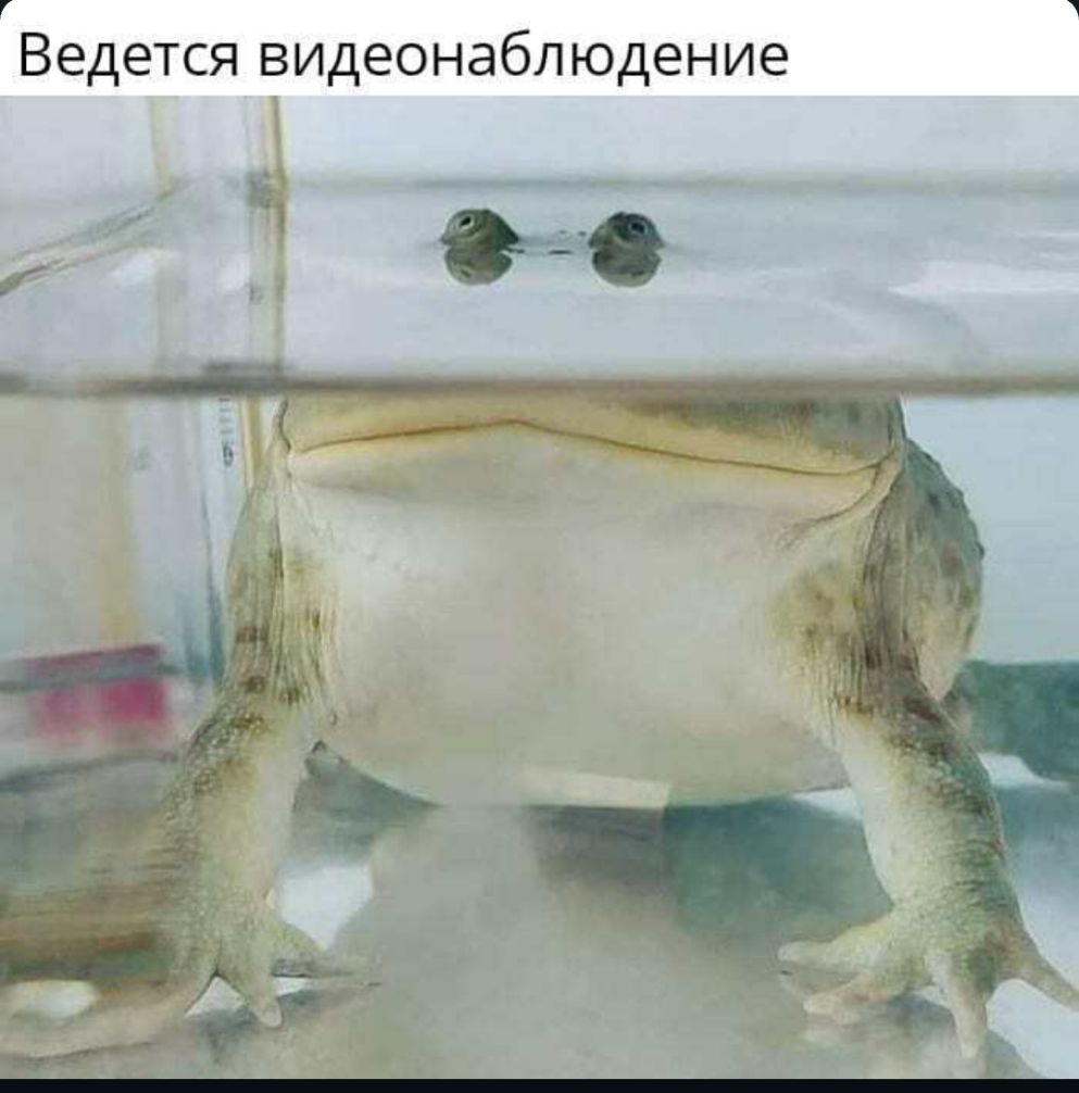 Ведется видеонаблюдение