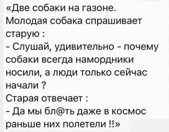 Две собаки на газоне Молодая собака спрашивает старую Слушай удивительно почему собаки всегда намордники носили а люди только сейчас начали Старая отвечает Да мы блть даже в космос раньше них полетели