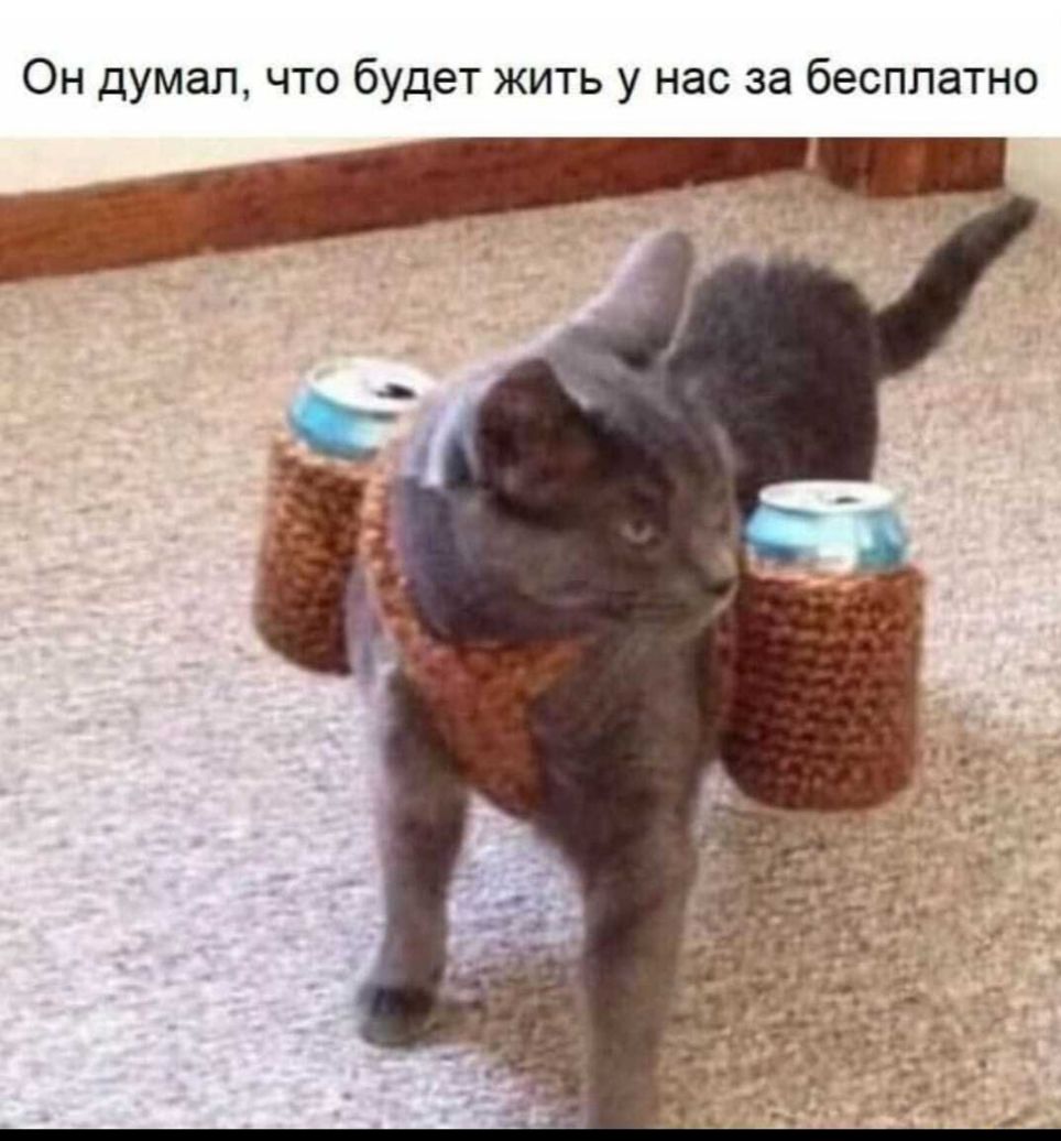 Он думал что будет жить у нас за бесплатно