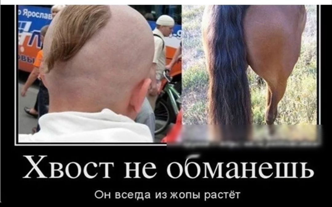 Хвост не обманешь Он всегда из жопы растёт