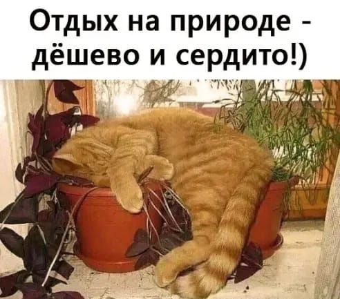 Отдых на природе рдито ший дёшево и се 1