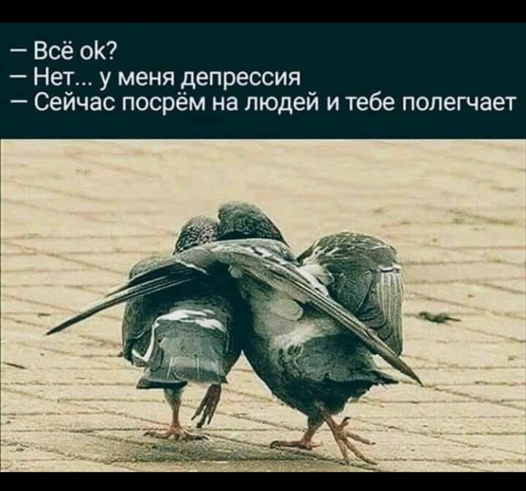 Всё оК Нет у меня депрессия Сейчас посрём на людей и тебе полегчает