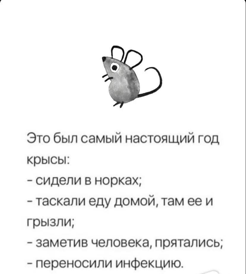 Это был самый настоящий год крысы сидели в норках таскали еду домой там ее и грызли заметив человека прятались переносили инфекцию