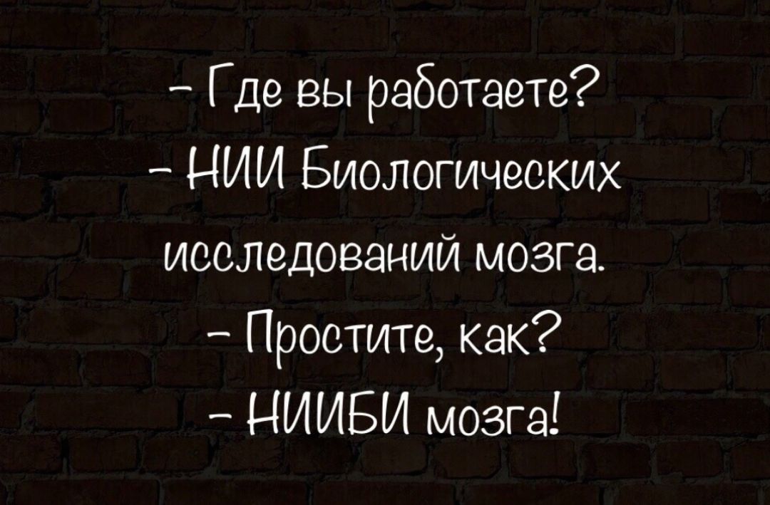Где вы работаете НИИ Биологических исследований мозга Простите как НИИБИ мозга