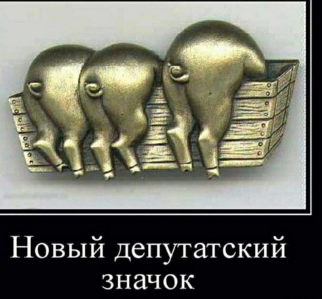 Новый депутатский значок