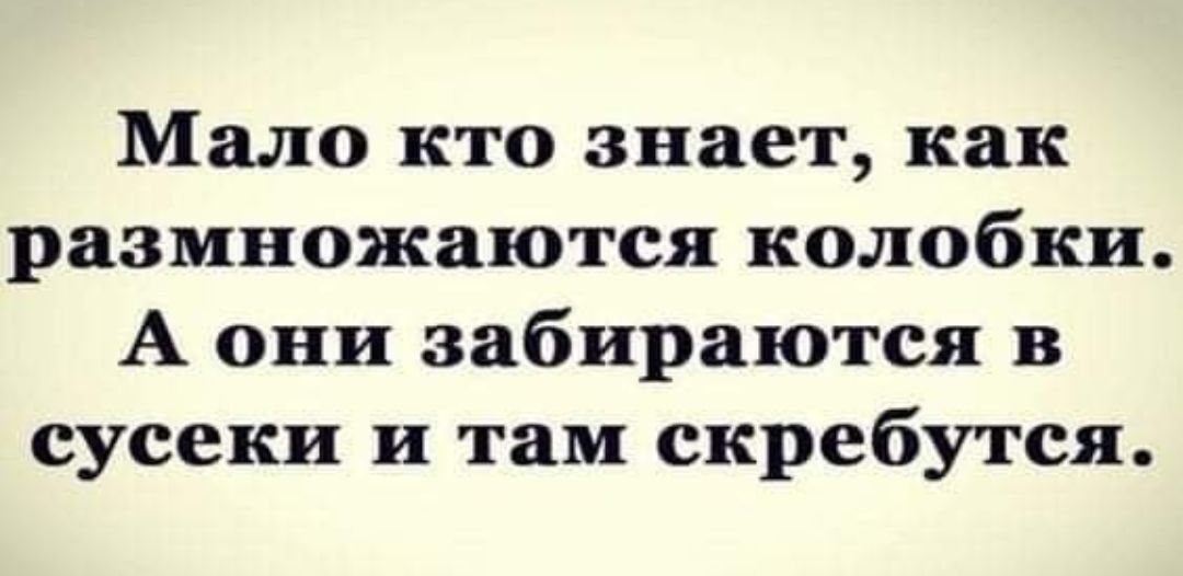 Мало кто знает как размножаются колобки А они забираются в сусеки и там скребутся