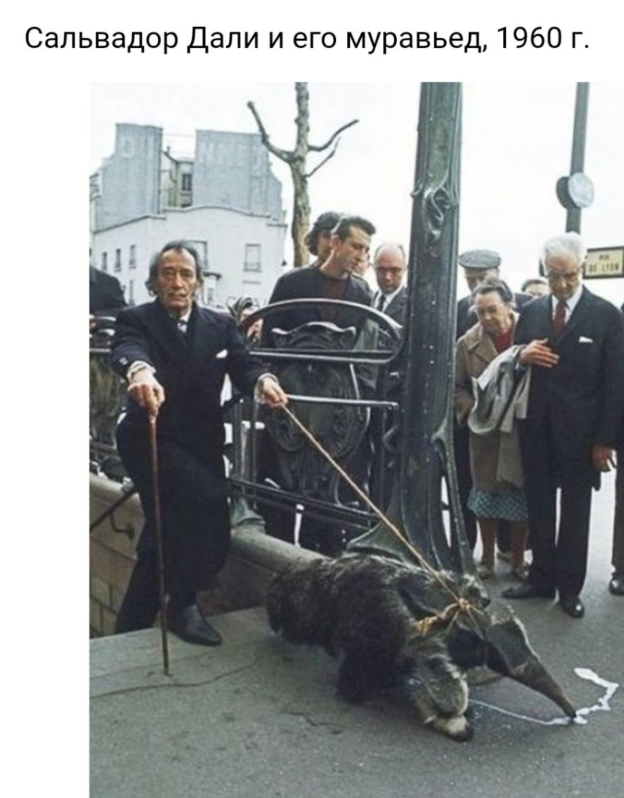 Сальвадор Дали и его муравьед 1960 г