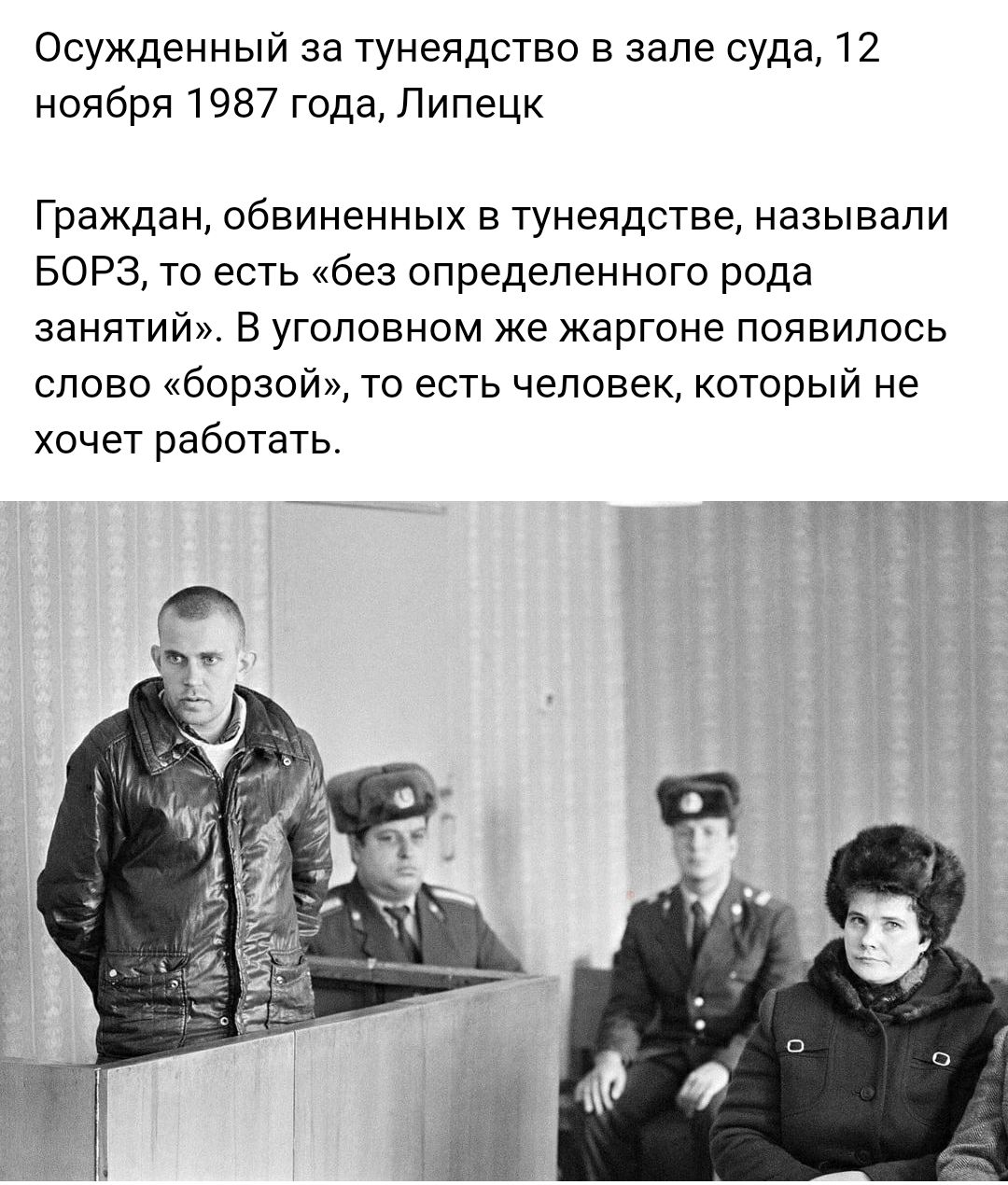 Осужденный за тунеядство в зале суда 12 ноября 1987 года Липецк Граждан обвиненных в тунеядстве называли БОРЗ то есть без определенного рода занятий В уголовном же жаргоне появилось слово борзой то есть человек который не хочет работать