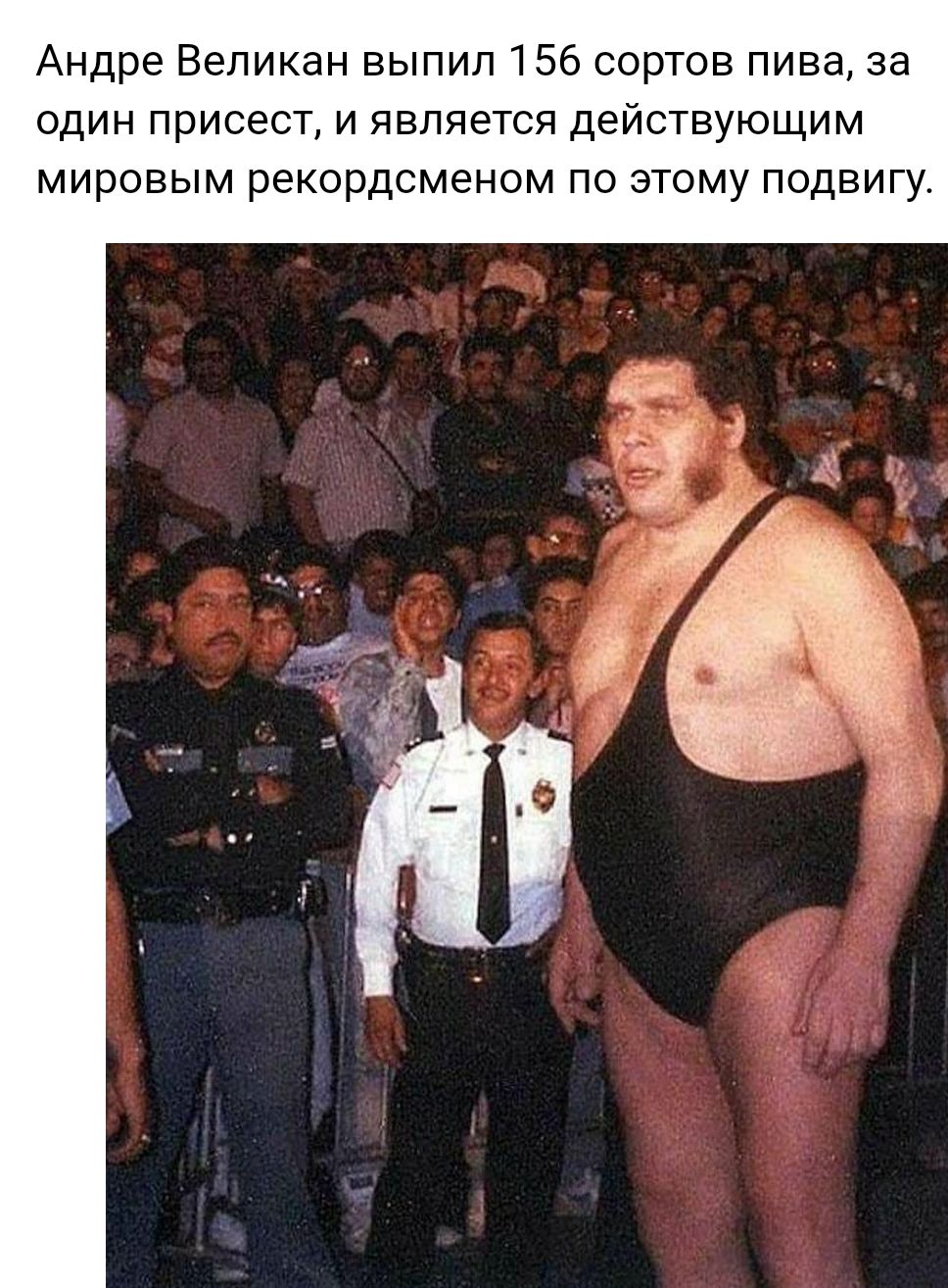 Андре Великан выпил 156 сортов пива за один присест и является действующим мировым рекордсменом по этому подвигу