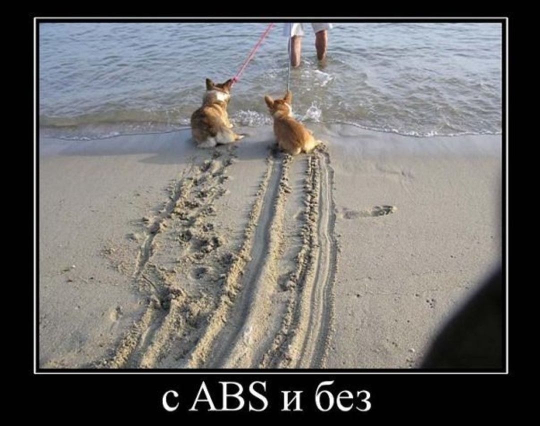 3 е 6 И С