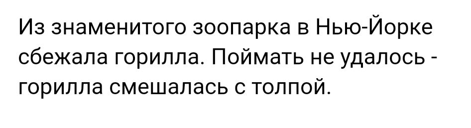 Из знаменитого зоопарка в Нью Йорке сбежала горилла Поймать не удалось горилла смешалась с толпой