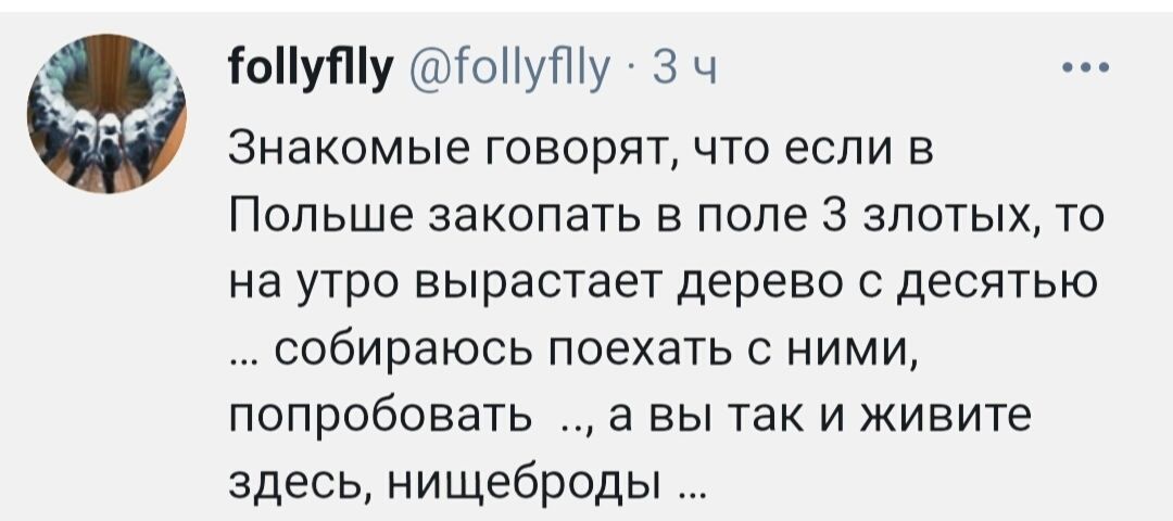 іоуПу ГоНуПіу 3 ч Знакомые говорят что если в Польше закопать в поле 3 злотых то на утро вырастает дерево с десятью собираюсь поехать с ними попробовать а вы так и живите здесь нищеброды