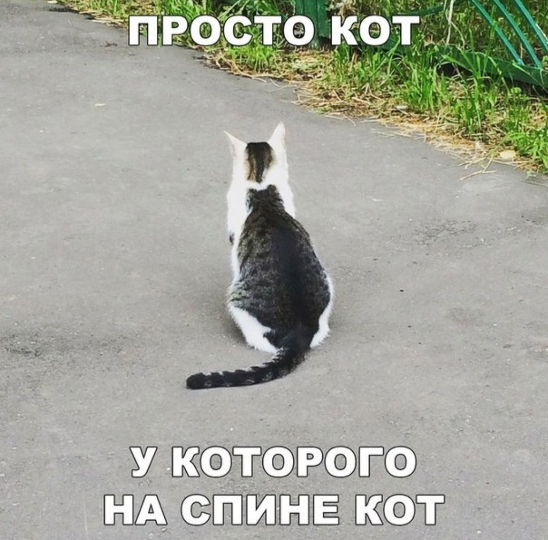 мъ У ЁЬЪГ ЁЕШБЁЁ Ё