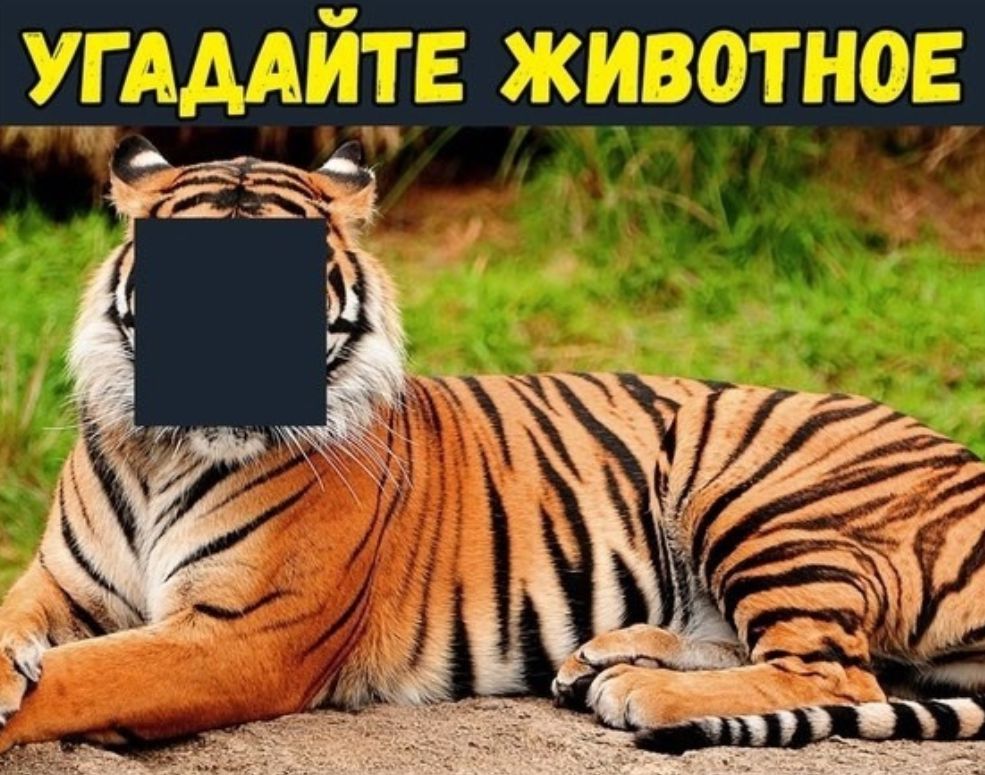 и 1 і і УГАДДГ и Ё ЖЗВЕБШ ПЮЁ _ _
