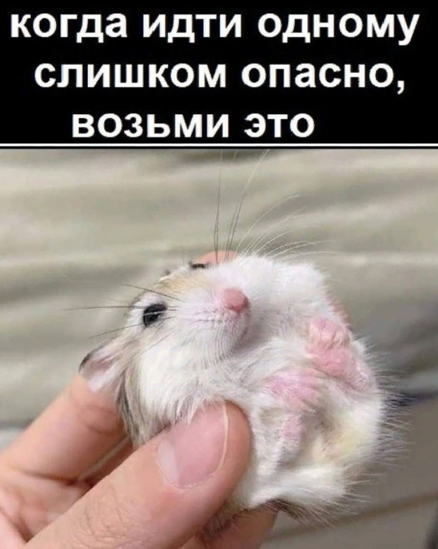 когда идти одному СЛИШКОМ ОПЗСНО ВОЗЬМИ ЭТО