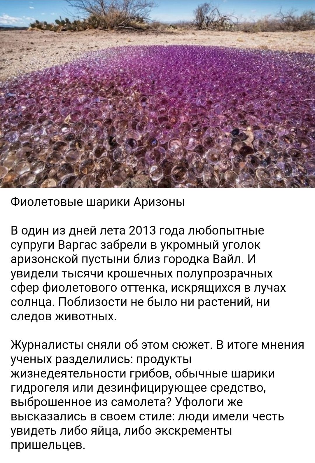 Фиолетовые шарики Аризоны В один из дней лета 2013 года любопытные супруги Варгас забрели в укромный уголок аризонской пустыни близ городка Вайл И увидели тысячи крошечных полупрозрачных сфер фиолетового оттенка искрящихся в лучах солнца Поблизости не было ни растений ни следов животных Журналисты сняли об этом сюжет В итоге мнения ученых разделились продукты жизнедеятельности грибов обычные шарик
