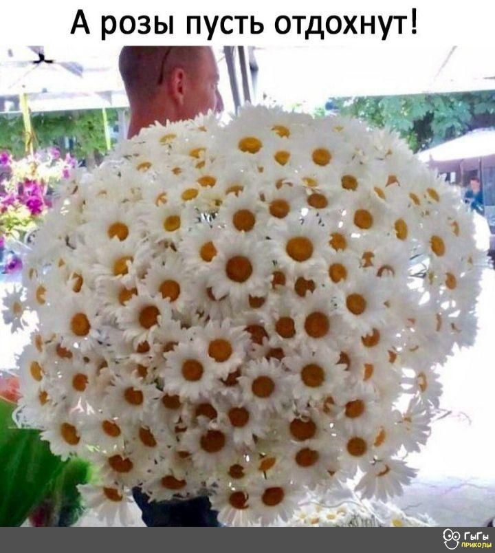 А розы пусть отдохнут