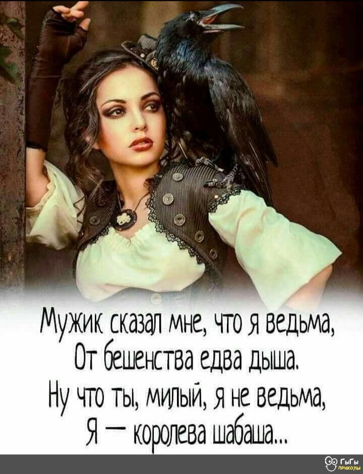 ___ Мужик сказал мне чтоя ведьма От бешенства едва дыша Ну что ты МИЛЫИ я не ведьма Я _ королева шабаша