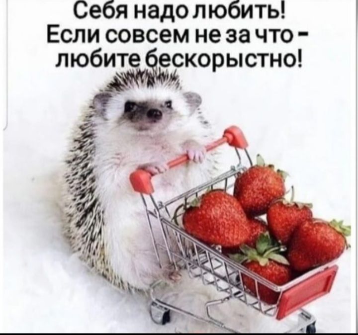 Себя надо любить Если совсем не за что любит евкорыстно