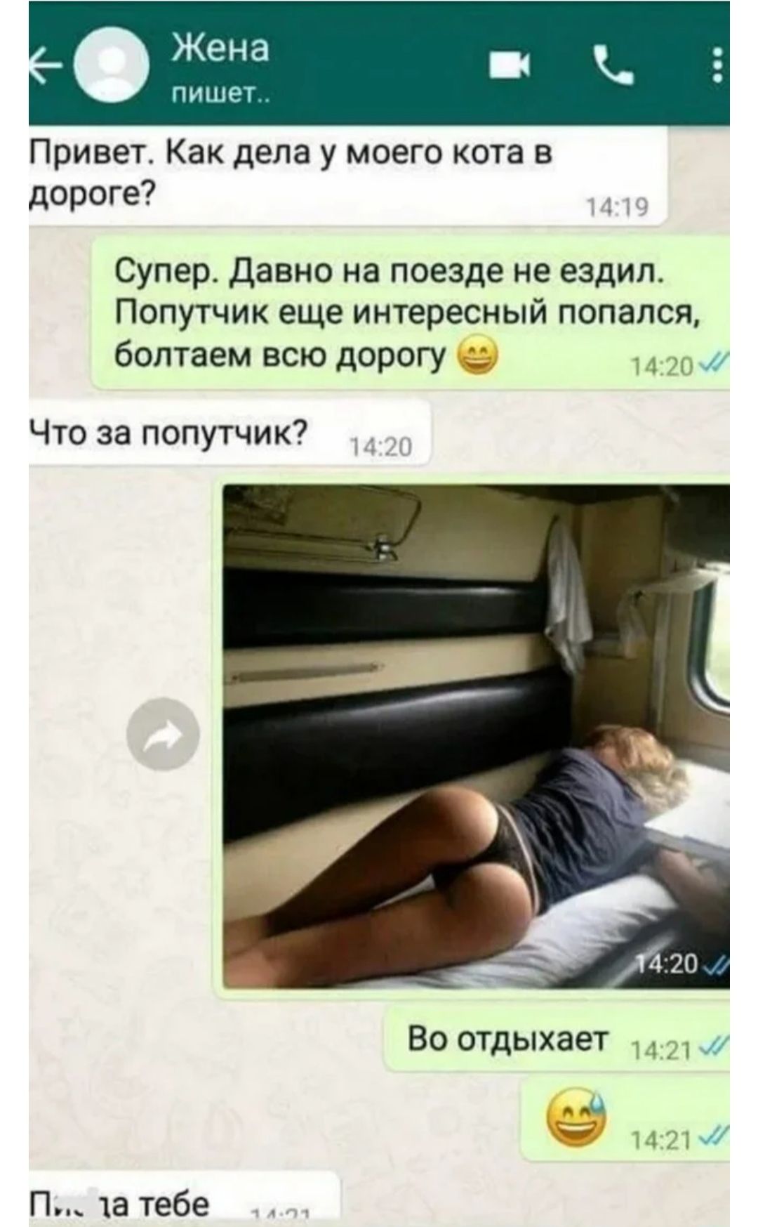 Жена ди Привет Как дела у моего кота в дороге Супер Давно на поезде не ездил Попутчик еще интересный попался болтаем всю дорогу Что за попутчик Воотдыхает и 7 П а тебе