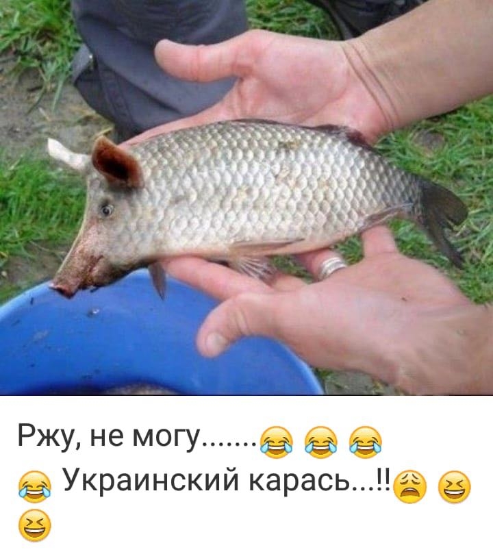 Ржу не могу Украинский карасьГ