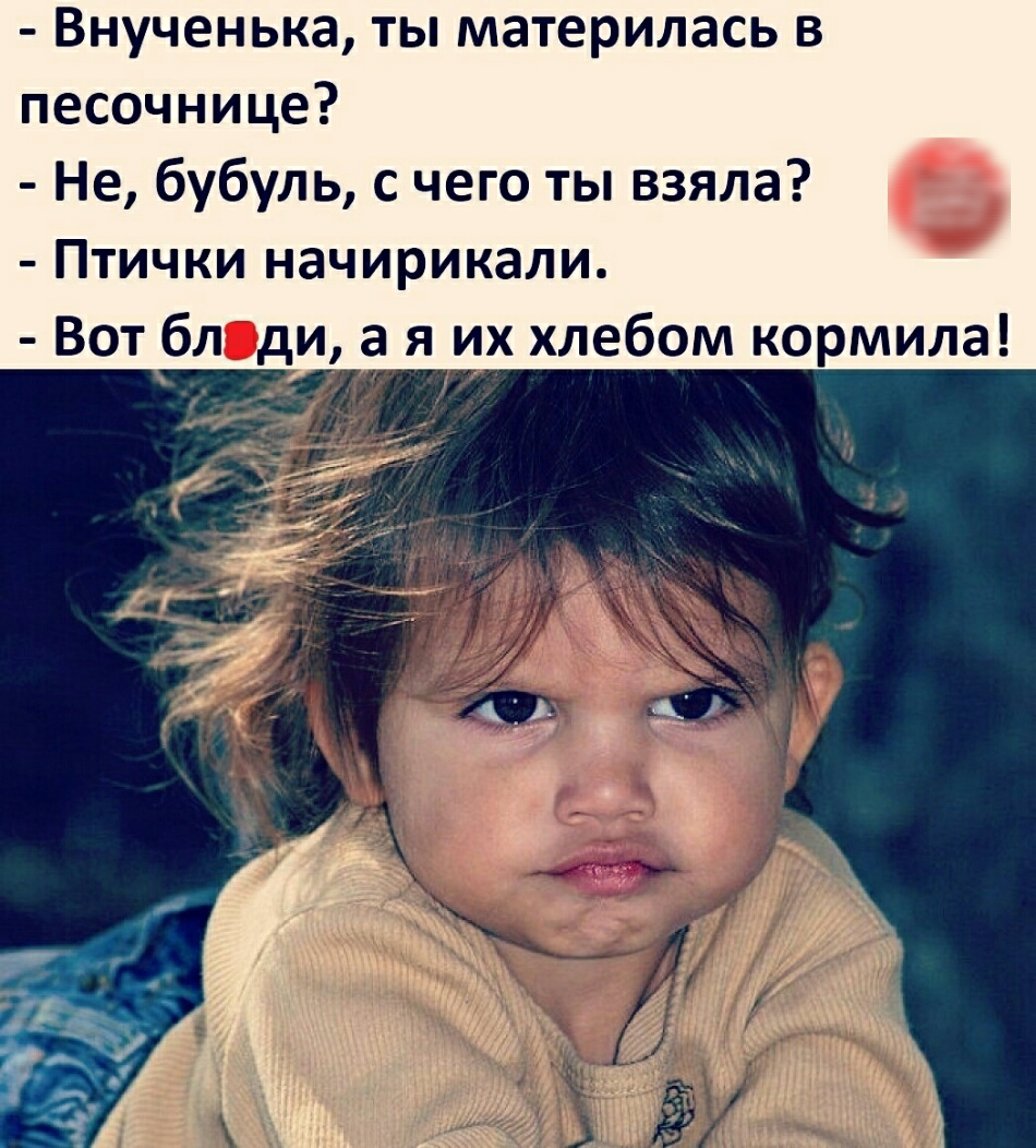 Внученька ты материлась в песочнице Не бубуль с чего ты взяла Птички начирикали Вот блоди а я их хлебом кормила