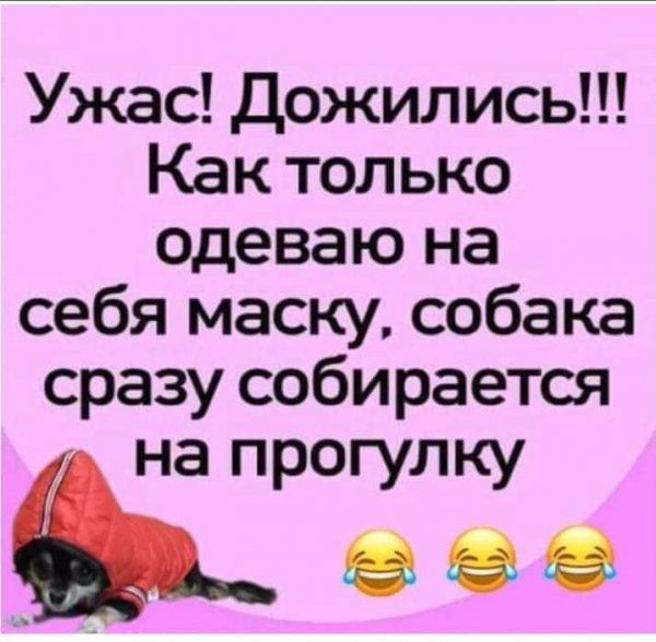 Ужас Дожились Как только одеваю на себя маску собака сразу собирается на прогулку в е в
