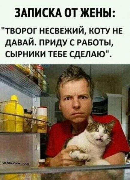 ЗАПИСКА ОТ ЖЕНЫ творог несввжий коту нв дАВАЙ приду с РАБОТЫ сырники тввв СдЕЛАЮ