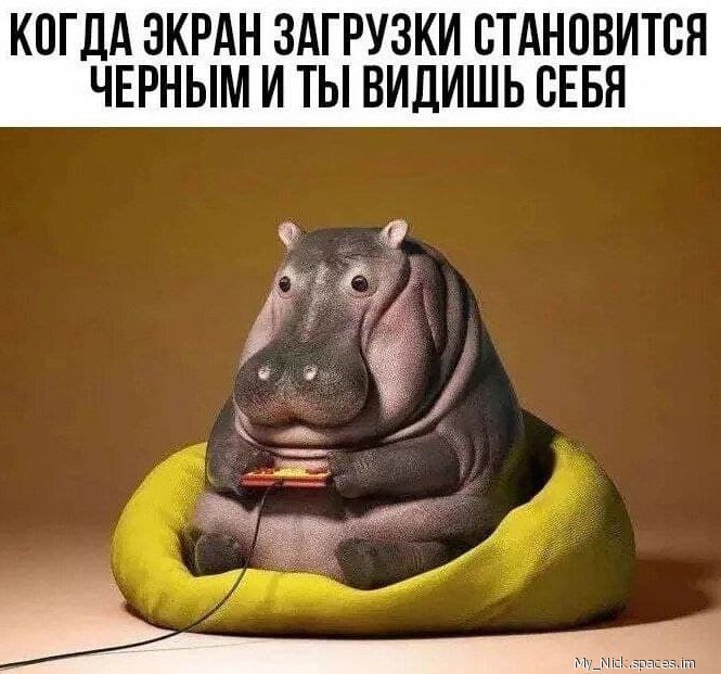 КОГДА ЭКРАН ЗАГРУЗКИ СТАНОВИТСЯ ЧЕРНЫМ И ТЫ ВИДИШЬ СЕБЯ