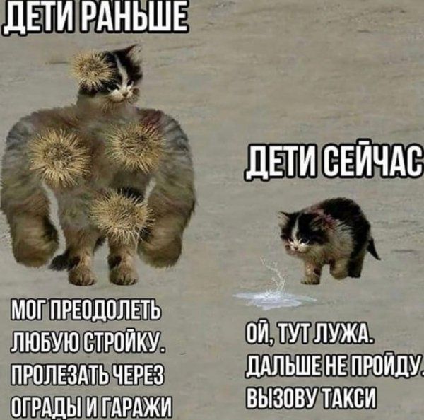 т Ш пш