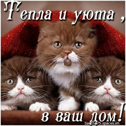 Зряйа г уююта 749«. 8 ваш. Ом