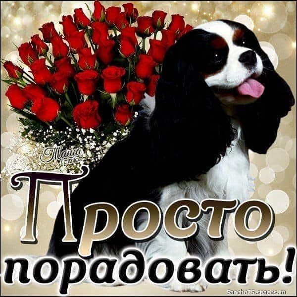 Ю порадоеа