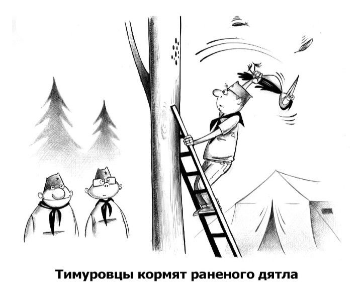 Тимуровцы кормят раненого дятла