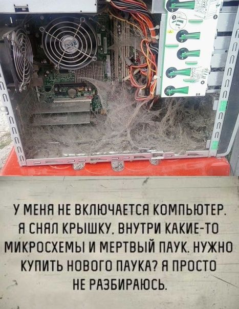 У МЕНЯ НЕ ВКПЮЧАЕТЕН КОМПЬЮТЕР Н ЕННП КРЫШКУ ВНУТРИ КАКИЕ ТО МИКРОСХЕМЫ И МЕРТВЫИ ПАУК НУЖНО КУПИТЬ НОВОГО ПАУКА Н ПРОСТО НЕ РАЗБИРЛЮСЬ