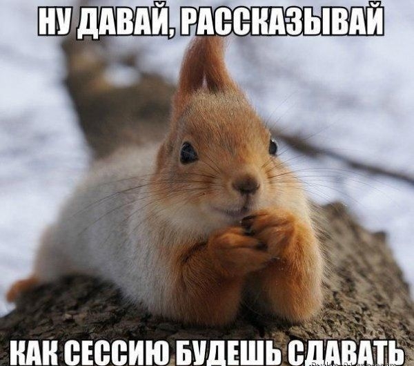 НАН ВЕВВИЮ БШЕШЬ ВМВШБ