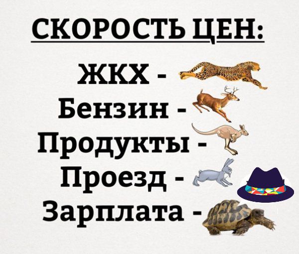 скорость цщ Бензин Продукты Ё Проезд Зарплата _